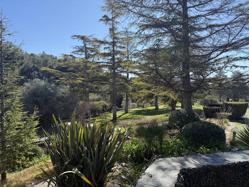 Appartement - 163 m² - 4 pièces