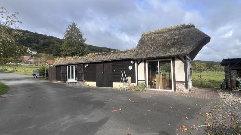 Propriété - 300 m² - 10 pièces