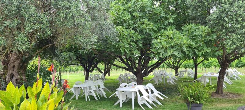 Soirées dégustation au Domaine les bertins