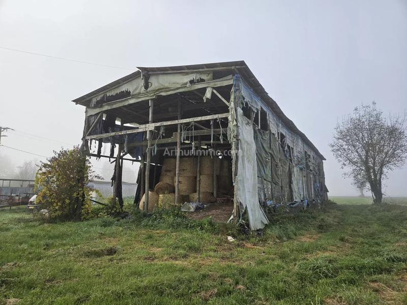 Viager - Maison - 90 m² - 4 pièces