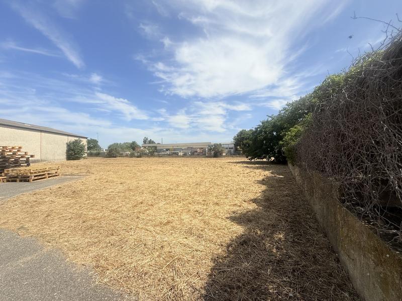 Local d'activités - 1 205 m²