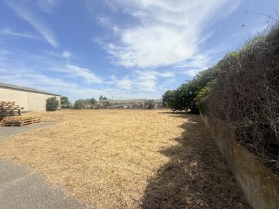 Local d'activités - 1 205 m²