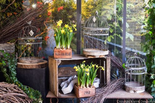 L' Atelier du Végétal