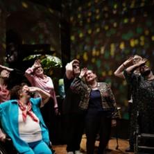 La Vie Secrète des Vieux