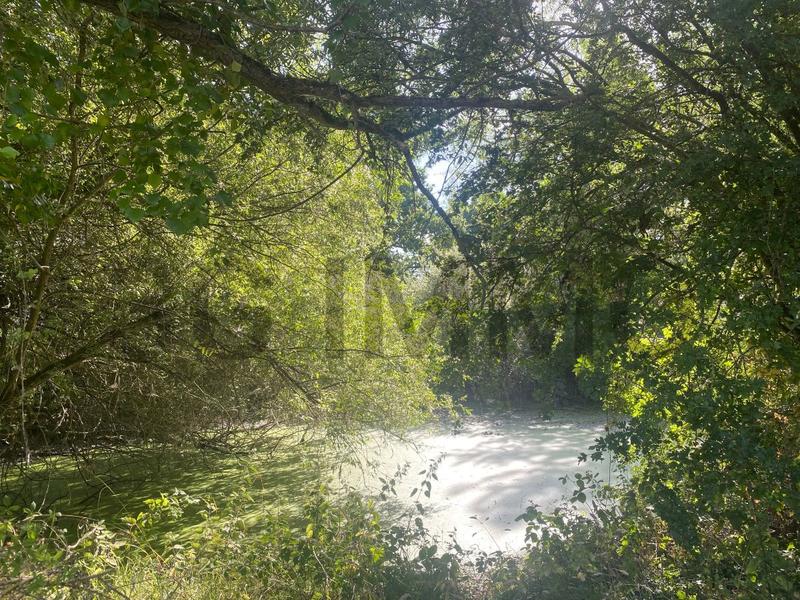 Terrain constructible - 7 000 m²