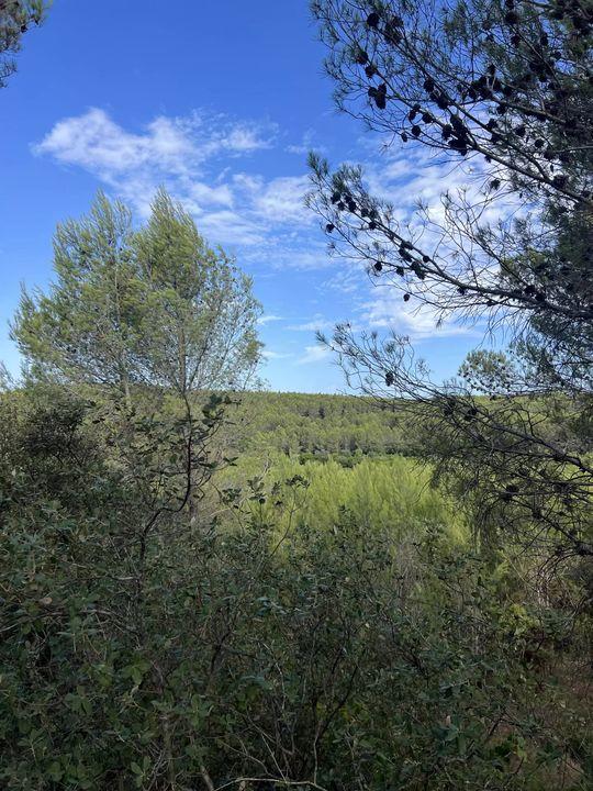 Terrain de loisirs - 2 006 m²