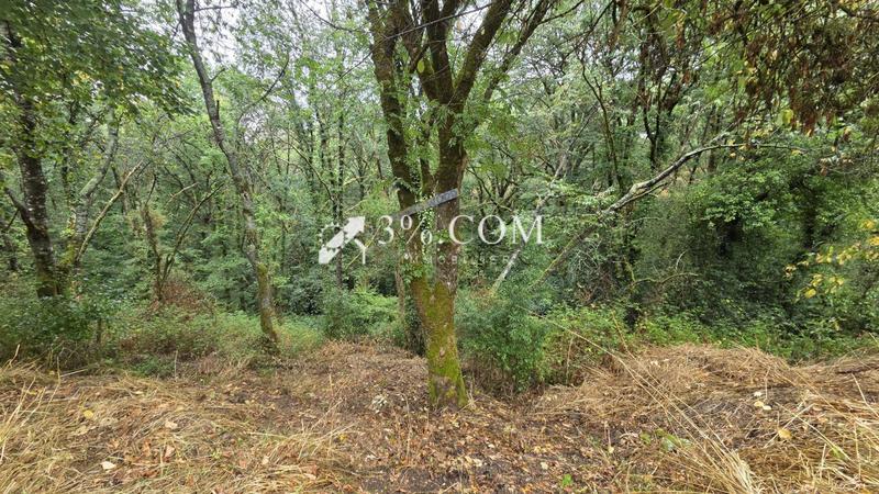 Maison - 66 m² - 3 pièces