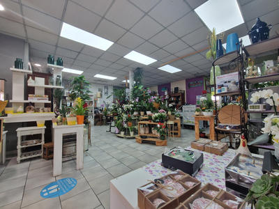 Immeuble - 700 m² - 9 pièces