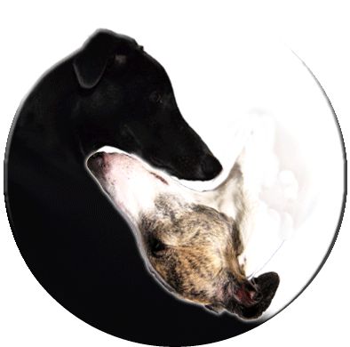 du Temps pour mon Chien