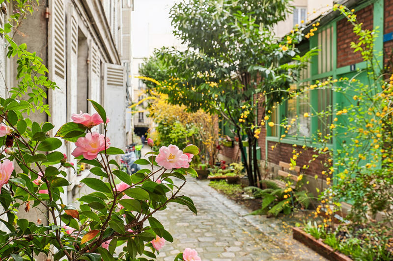 Appartement - 55 m² - 2 pièces