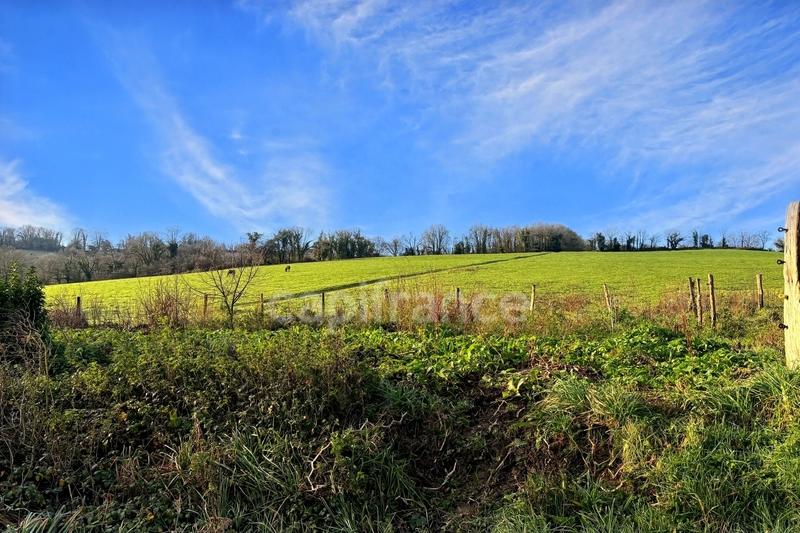 Maison en pierre - 110 m² - 5 pièces