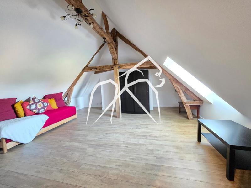 Maison ancienne - 323 m² - 8 pièces