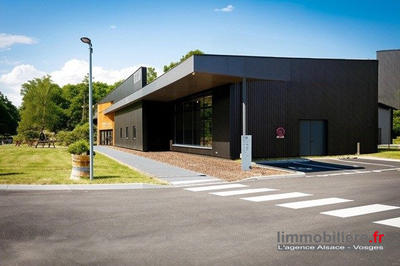 Local d'activité / Entrepôt - 1 350 m²