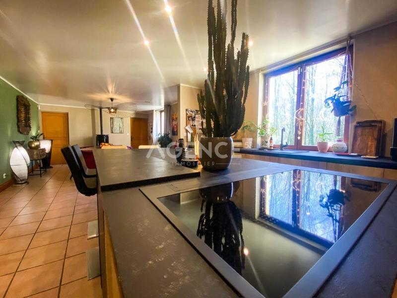 Maison - 221 m² - 7 pièces