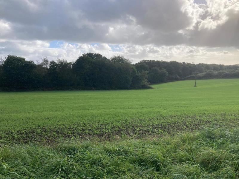 Terrain constructible - 978 m²