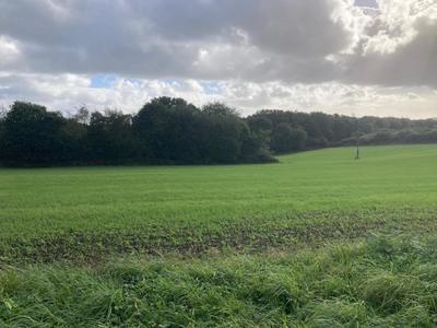 Terrain constructible - 978 m²