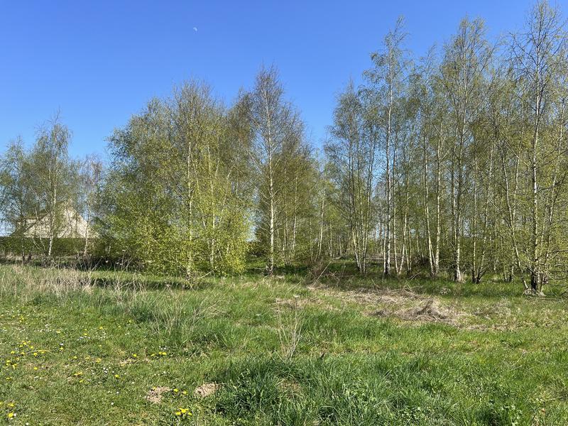 Terrain - 1 287 m²