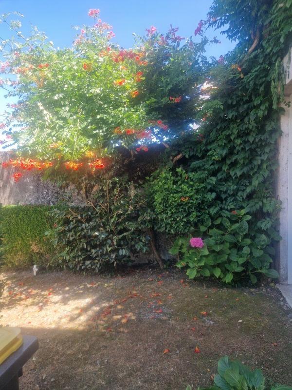 Maison - 285 m² - 10 pièces