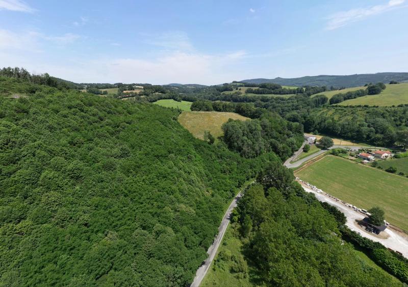 Terrain agricole - 71 100 m²