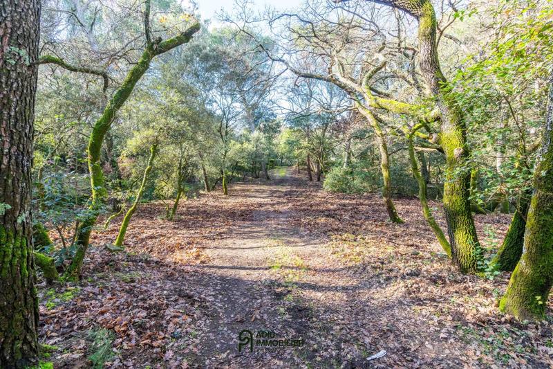 Terrain constructible - 3 367 m²