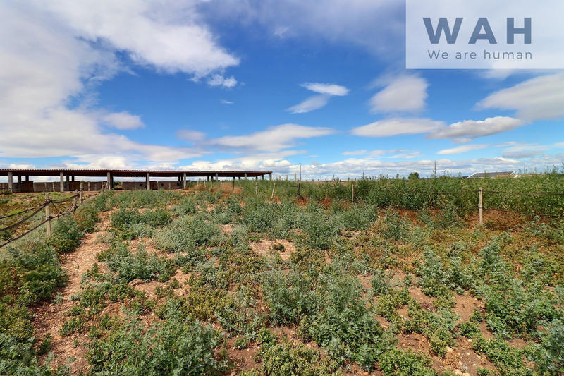 Terrain agricole - 2 474 m²