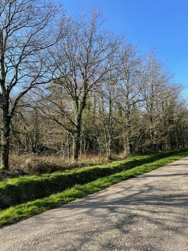 Terrain de loisirs - 11 290 m²