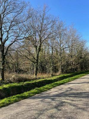 Terrain de loisirs - 11 290 m²