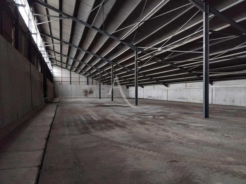 Local d'activité / Entrepôt - 1 440 m²