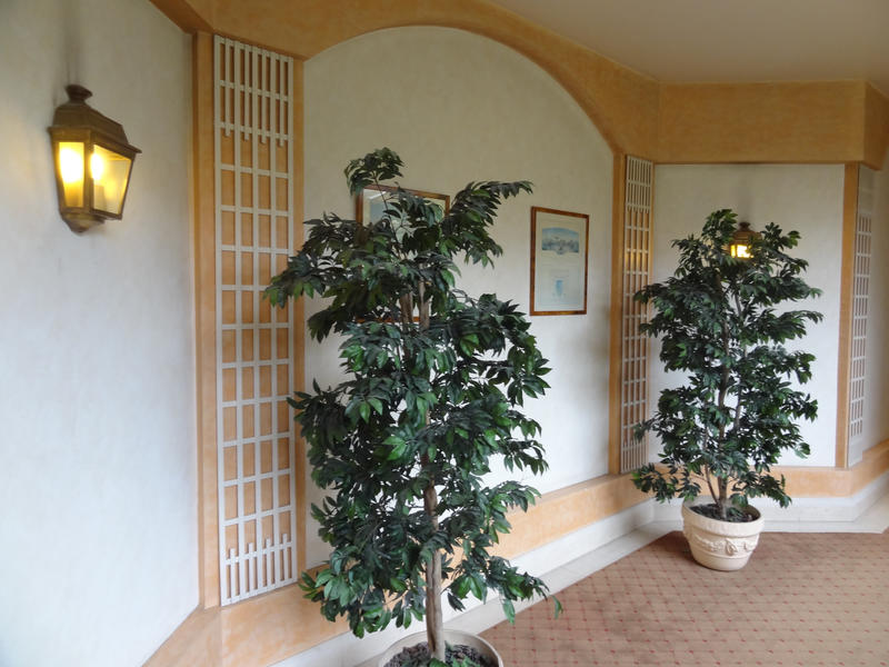 Appartement - 58 m² - 2 pièces