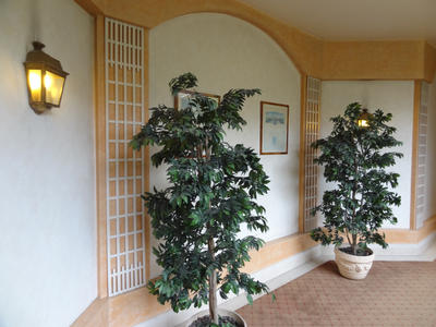 Appartement - 58 m² - 2 pièces