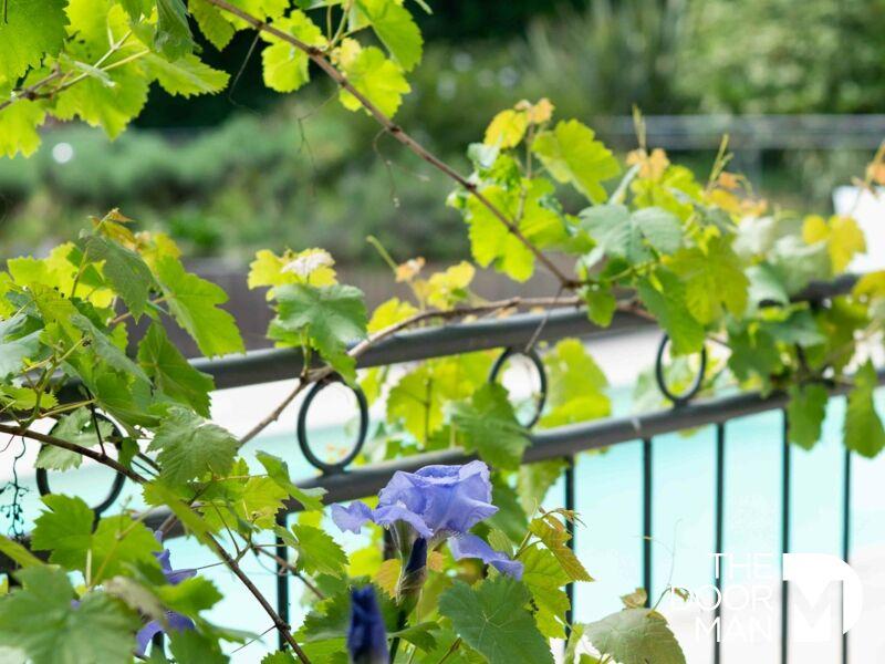 Maison - 264 m² - 10 pièces