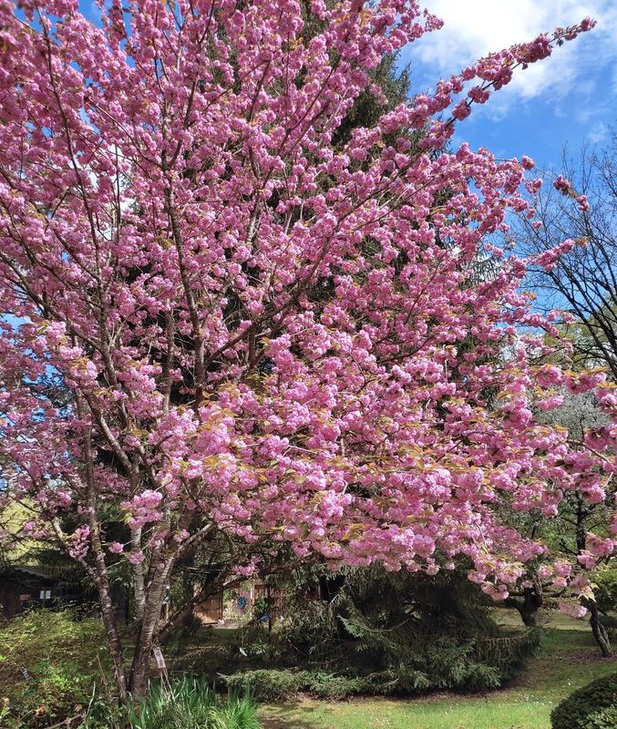 Rendez-vous aux Jardins - aux Jardins des Métamorphozes à Valaire