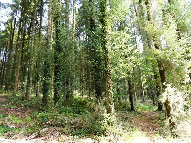 Terrain agricole - 13 280 m²