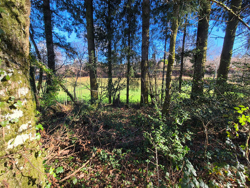 Maison - 33 m² - 2 pièces