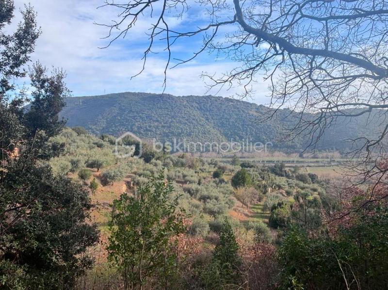 Terrain agricole - 8 300 m²