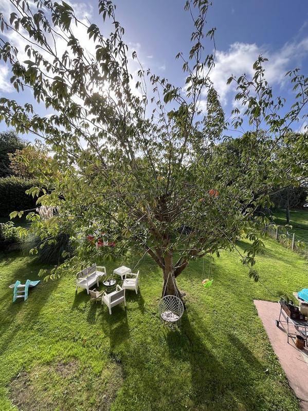 Maison ancienne - 100 m² - 5 pièces