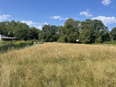 Terrain constructible - 4 500 m²