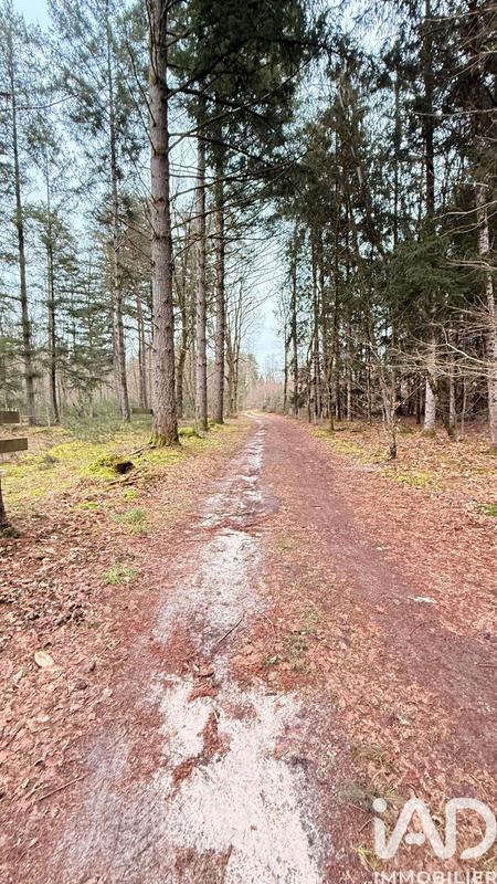 Maison de campagne - 90 m² - 4 pièces