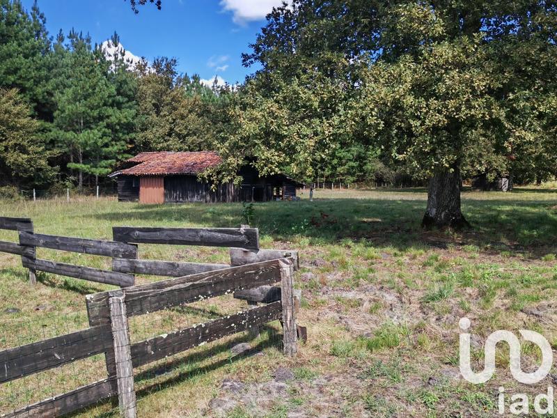 Maison - 245 m² - 6 pièces