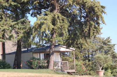 Local d'activités - 126 592 m²