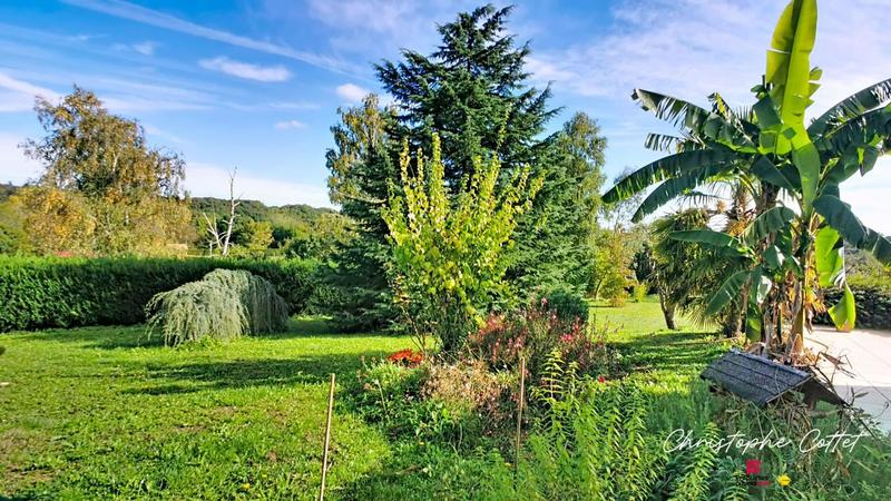 Maison - 295 m² - 8 pièces