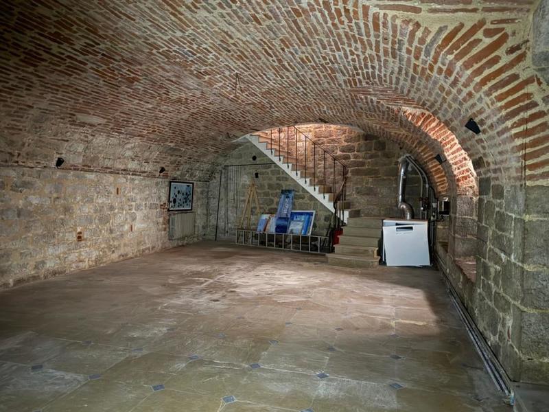 Hôtel particulier - 381 m² - 7 pièces