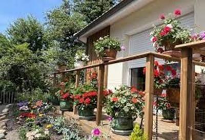 Appartement - 49 m² - 2 pièces