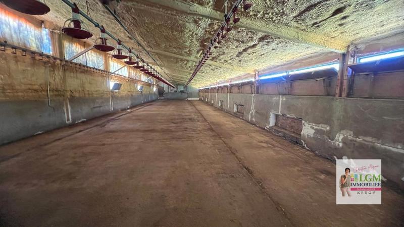 Maison - 175 m² - 7 pièces