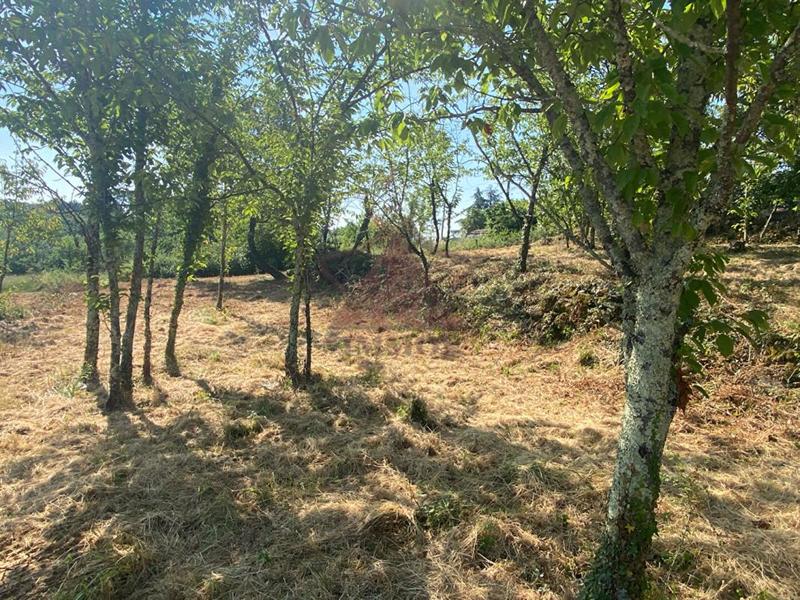 Terrain - 1 691 m²