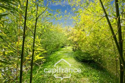 Terrain de loisirs - 3 200 m²