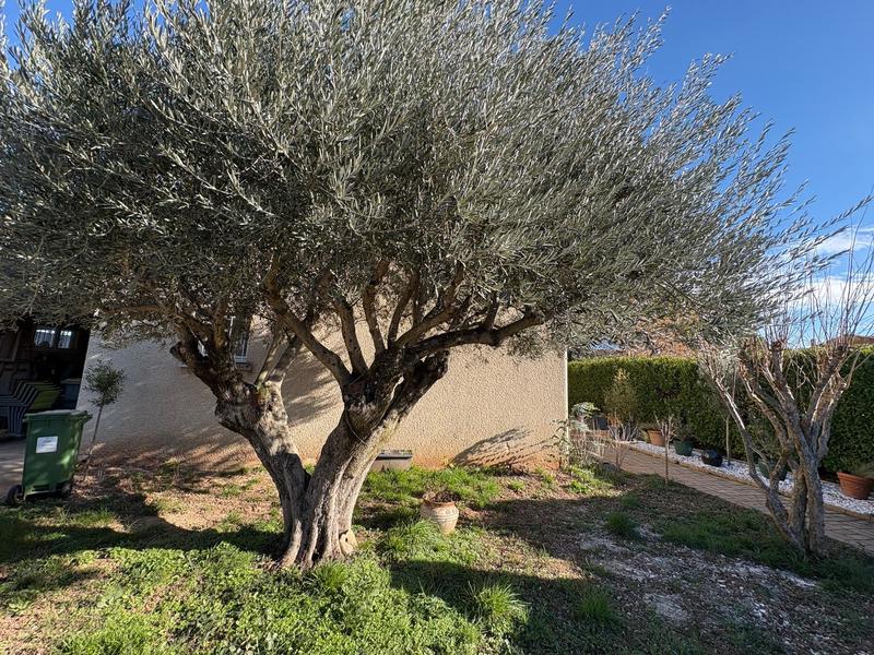 Maison - 148 m² - 5 pièces