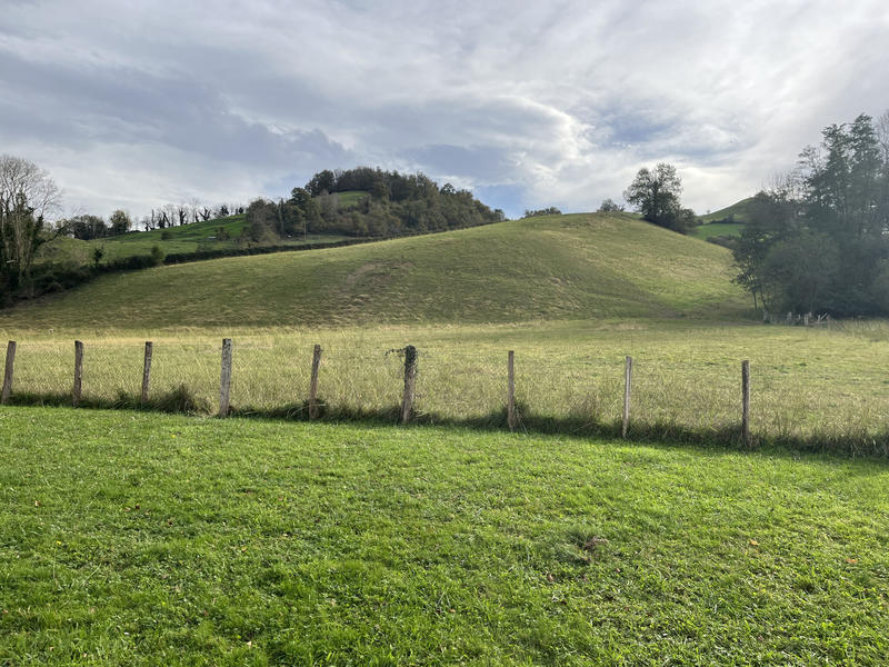 Maison - 265 m² - 10 pièces