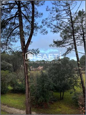 Appartement - 45 m² - 3 pièces