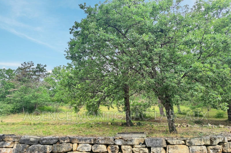 Châlet - 206 m² - 6 pièces